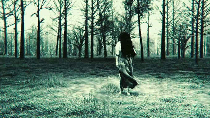 MicroReview: Rings (2017)
