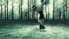 MicroReview: Rings (2017)